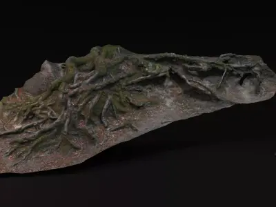 Beech forest ground - 2 of 6 - scan PBR Game ready Low-poly 3D model