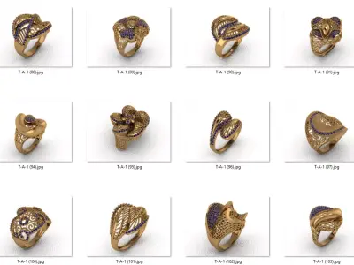 ring 25 pieces drawing 3d rihone drawing ring rings ring jewelry 3D print model