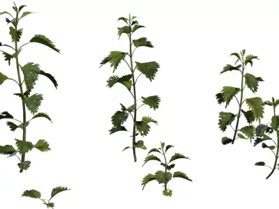 Tall Wild Herb Stem Pack  Low-poly 3D model