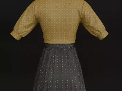 Female Skirt and Shirt 3D model