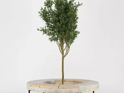 Tree Flowerbed 3D model