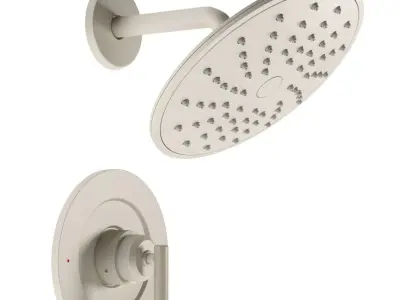 Shower MOEN Gibson Low-poly 3D model