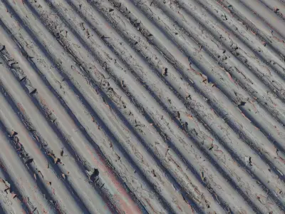 Peeling Paint Corrugated Metal  Texture