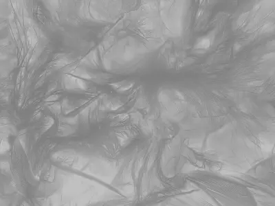 feather PBR material Free low-poly 3D model