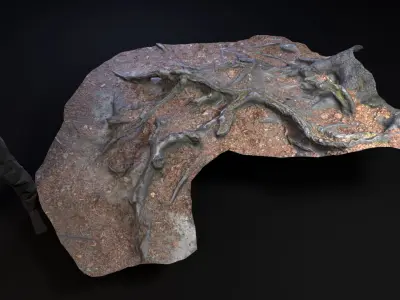 Beech forest ground - 3 of 6 - scan PBR Game ready Free low-poly 3D model