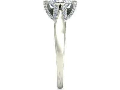 Women Ring  Render 3dm STL OBJ FBX Details 3D print model 200
