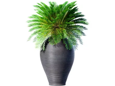 Beautiful Decorative Evergreen tall Palm Tree Garden Tall Vase 3D model