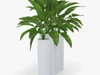 bamboo Progettato dallo studio francese Tous Les Trois banana 3D model