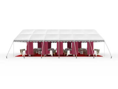 Party Tent 06 3D model