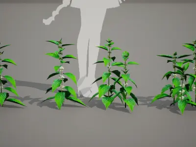 MEGA PLANT PACK - 10 Korea Endemic Species 02 Pack Low-poly 3D model