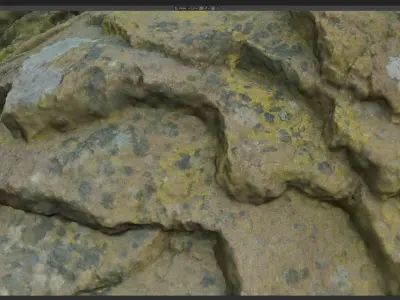 Stone Rose Raw 3D Scan 3D model