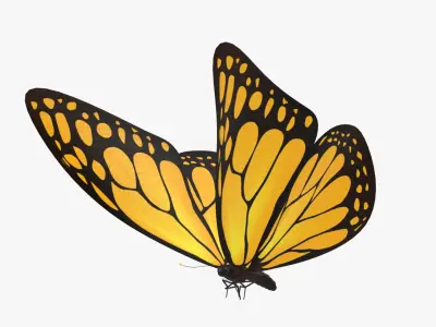  Butterfly with Flying Animation 