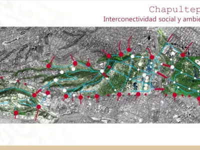 MERCADO chapultepee interconnected social and environmental n... Free 3D model