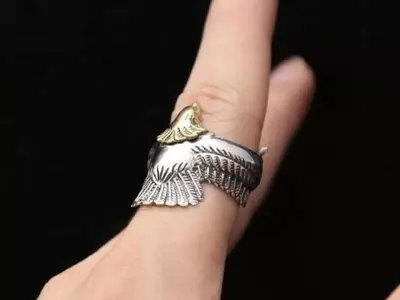 Ring Eagle  3D print model