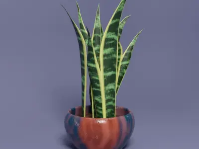 Snake Plant 3D model