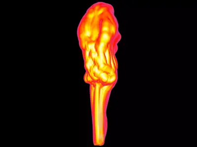 Fire Flame Lamp 3D print model