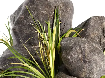 Rock with Grass 3D model