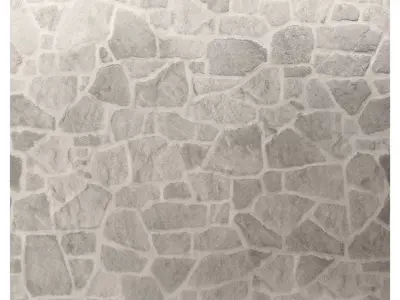 Stone Masonry Wall 09 Texture