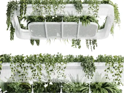 Hanging plants  indoor plant 323 Low-poly 3D model