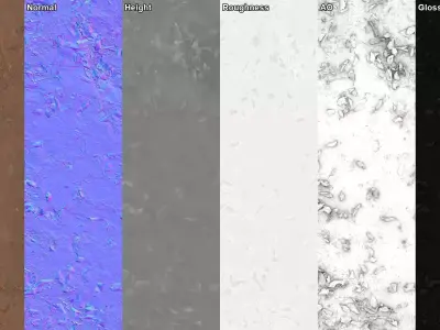 Scattered Dead Leaves Ground  Texture