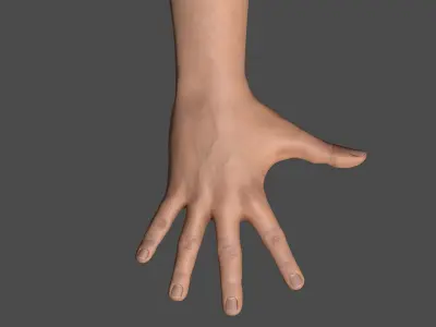  Rigged and Animated Hands (Male) 