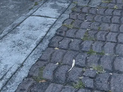 Mexico City Sidewalk  Low-poly 3D model