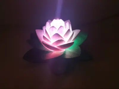 Lotus Lamp Free 3D print model