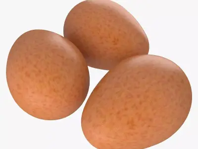 Eggs Brown 3D model