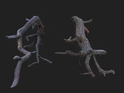 Dead tree 3d scan - SNA0003 3D model