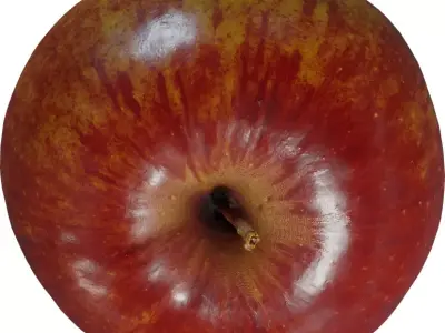 Photorealistic Red Apple  Low-poly 3D model