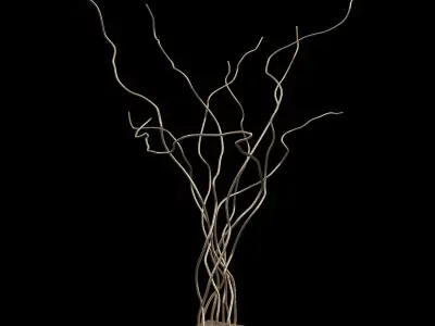 Serip Wind 6036 3D model