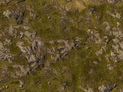 Moss rocks with bushes 3D model