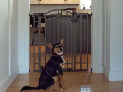 Bull Hitchens Deco Walk-Thru Gate 3D model