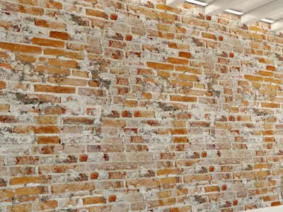 Brick wall Old brick  118 Texture