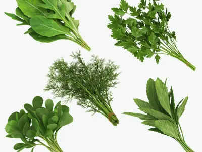  Mega Vegetable Collection 40 in 1 