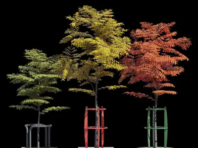 Urban tree grille 3D model