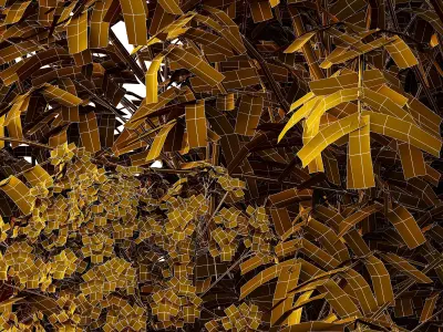 Sambucus nigra Tree 05 3D model