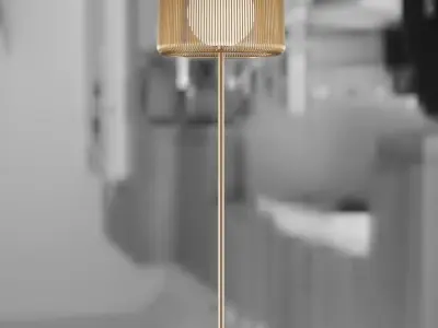 Designer floor lamp with double shade 3D model