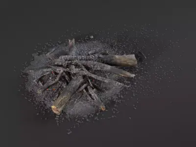 Camp Fire Low-poly 3D model