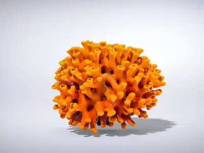 Golden Yellow Sun Coral Model Low-poly 3D model