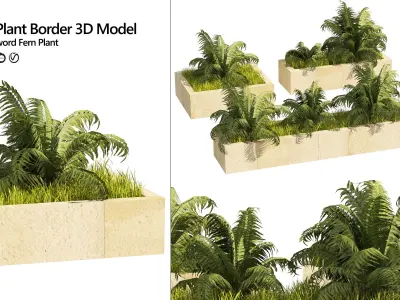 3 Street swordfern border plant Low-poly 3D model