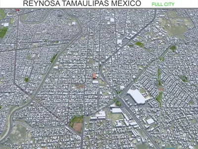 Reynosa Tamaulipas Mexico 30km Low-poly 3D model