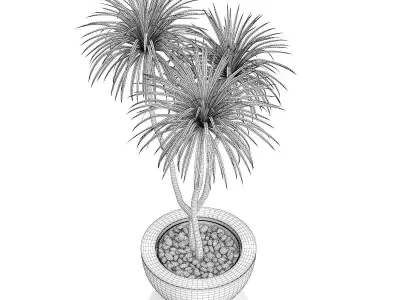 Potted Palm TreePotted Palm Tree 3D model