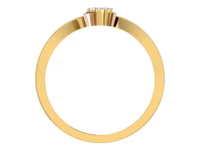 Women Ring  Render 3dm STL OBJ FBX Details 3D print model 204