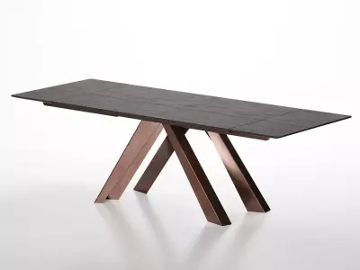 Big Dining Tables Extended 3D model