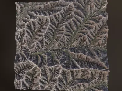 Landscape D - Scan 3D model