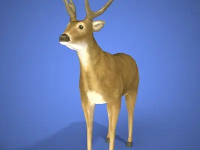 deer 3d model 3D print model