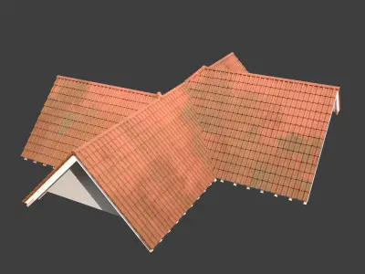 Realistic Roof Collections 24 3D model