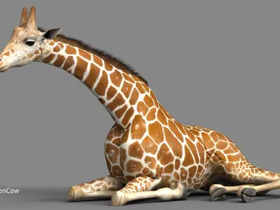  Giraffe PRO 