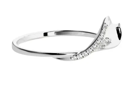 Ring - 11 3D print model